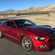 Illustration for article titled I Drove The 800 HP Shelby Super Snake And Survived, Unfortunately